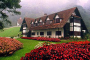 About Cameron Highlands